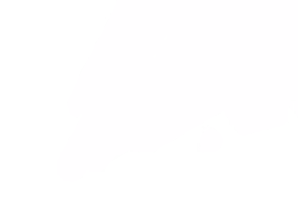 Independent Layer 1