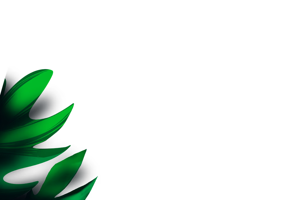 Background Layer 5